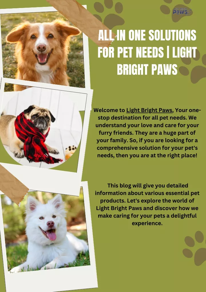 all in one solutions for pet needs light bright