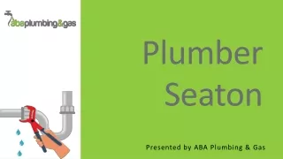 plumber seaton