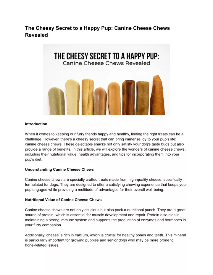 the cheesy secret to a happy pup canine cheese