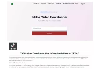 TikTok Video Downloader