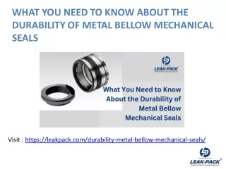 What You Need to Know About the Durability of Metal Bellow Mechanical Seals
