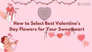 How to Select Best Valentine's Day Flowers for Your Sweetheart