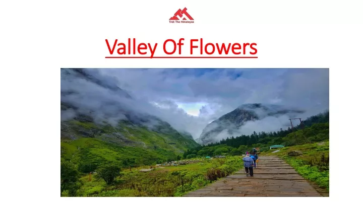 valley of flowers