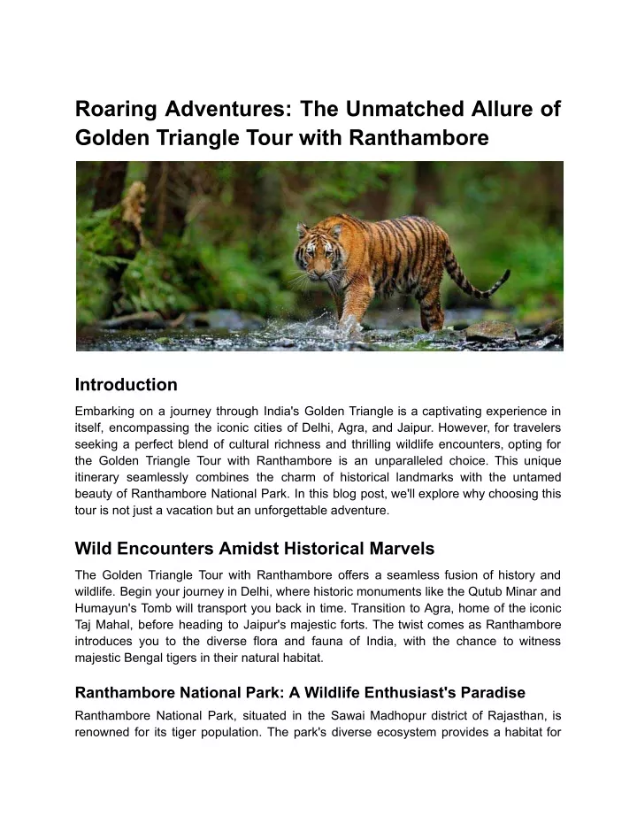 roaring adventures the unmatched allure of golden
