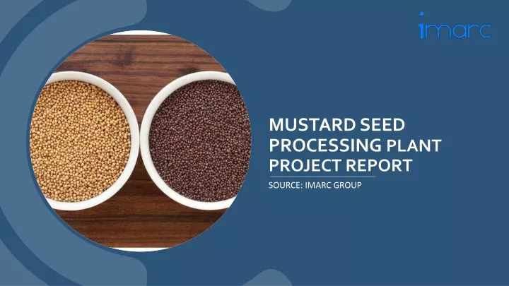 mustard seed processing plant project report