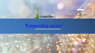 Professional Waterproofing Services
