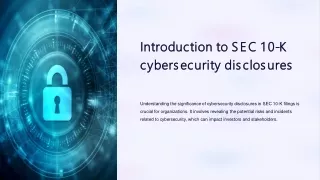 SEC 10-K Cybersecurity Disclosures