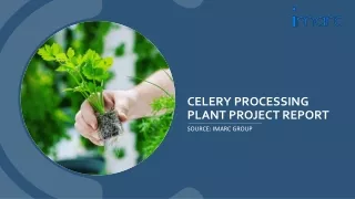 celery processing plant project report