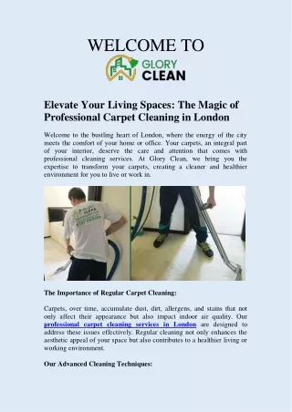 Revitalize Your Space with Expert Carpet Cleaning Services