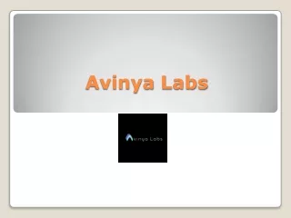 Avinya Labs: Elevate Your Presence with Digital Marketing Excellence
