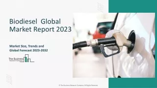 biodiesel global market report 2023