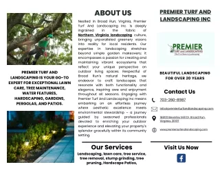 Premier Turf And Landscaping Inc