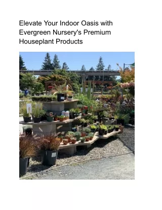Elevate Your Indoor Oasis with Evergreen Nursery's Premium Houseplant Products