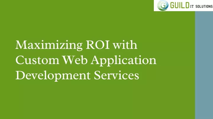 maximizing roi with custom web application