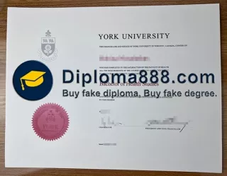 WhatsApp:  86 19911539281 How to buy fake York University diploma?