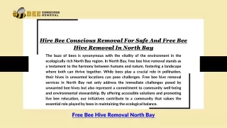 Hire Bee Conscious Removal For Safe And Free Bee Hive Removal In North Bay