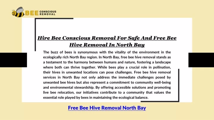 hire bee conscious removal for safe and free