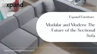 Modular and Modern: The Future of the Sectional Sofa | Expand Furniture