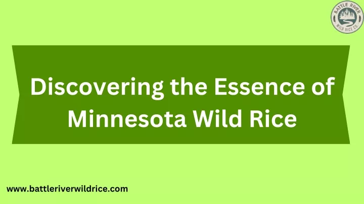 discovering the essence of minnesota wild rice