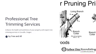 professional tree trimming services