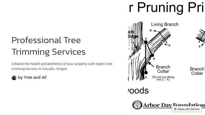 professional tree trimming services