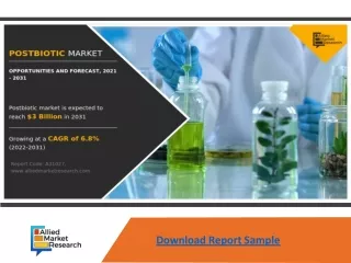 download report sample
