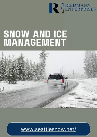 Seattle Snow Expert Snow and Ice Management Solutions