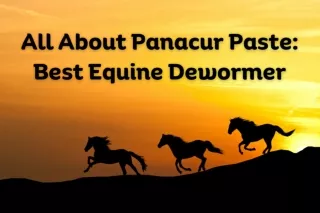 panacur paste horse wormer