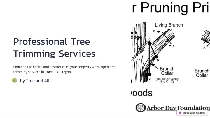 professional tree trimming services