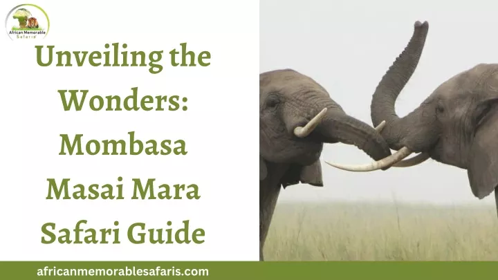 unveiling the wonders mombasa masai mara safari
