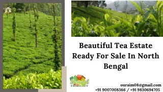 Beautiful Tea Estate Ready For Sale In North Bengal