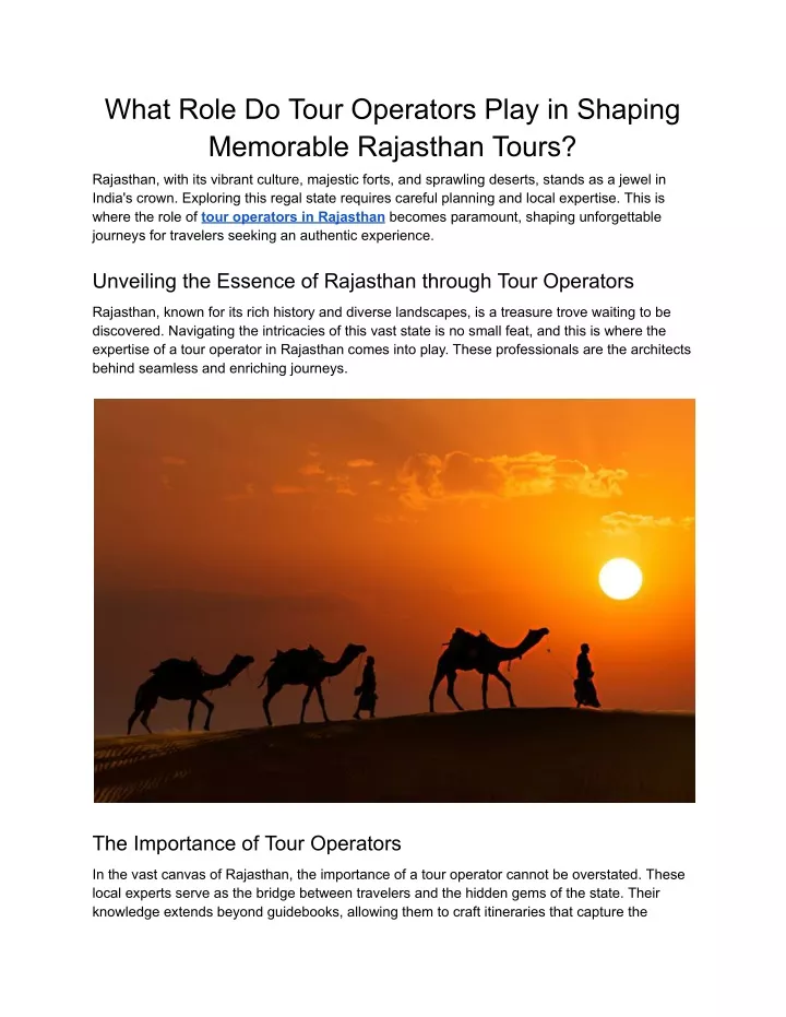 what role do tour operators play in shaping