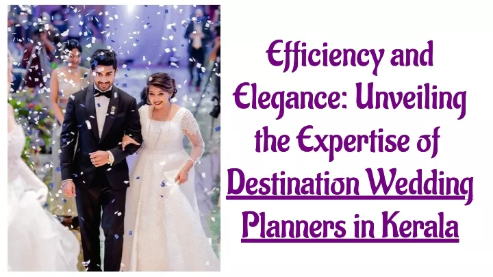 efficiency and elegance unveiling the expertise