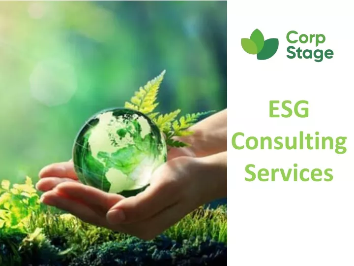 esg consulting s ervices