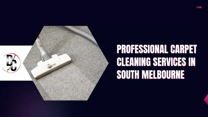 professional carpet cleaning services in south