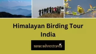 Himalaya Birding Tours | Sattal Bird Sanctuary | Best Time To Visit Sattal | Bir