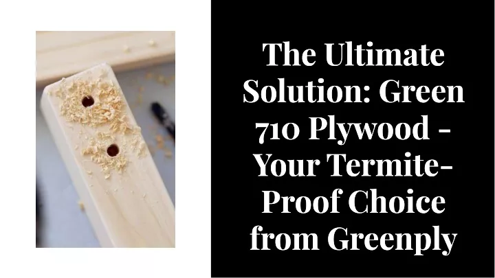 the ultimate solution green 710 plywood your