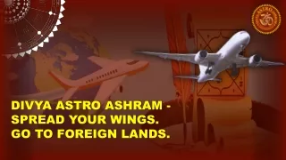 divya astro ashram spread your wings