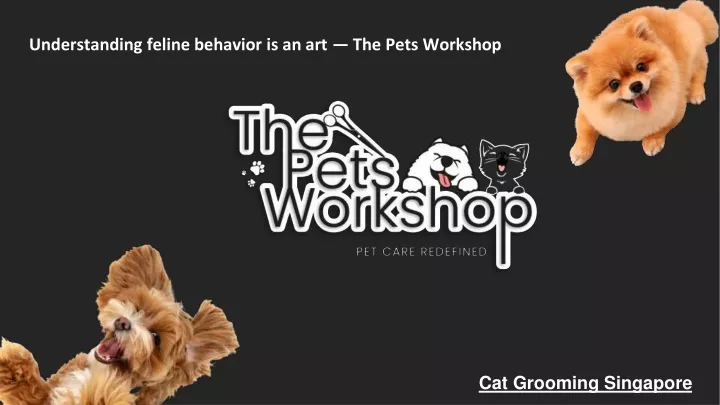 understanding feline behavior is an art the pets