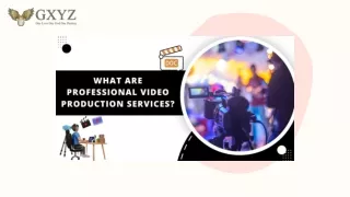 What are Professional Video Production Services