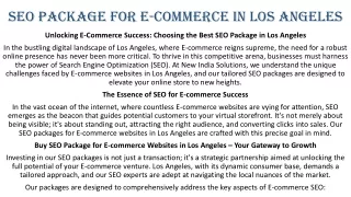 SEO package for e-commerce in Los Angeles