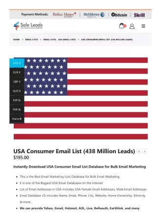 www-saleleads-net-email-list-usa-consumer-email-list- (1)