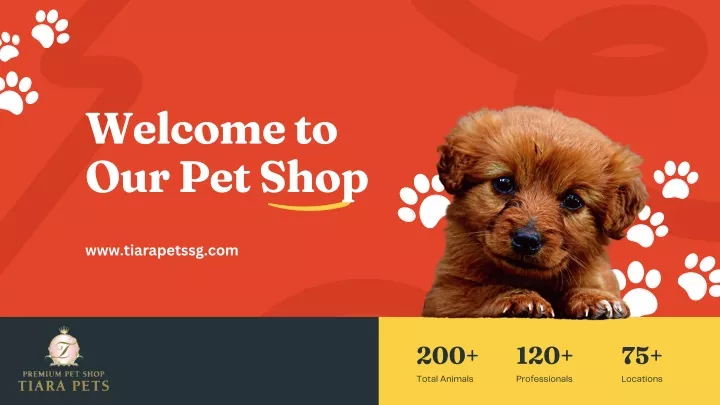 welcome to our pet shop
