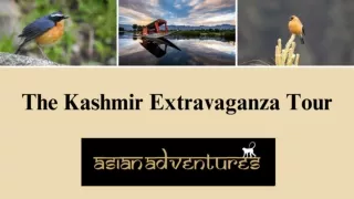 Kashmir Tours Packages |  Birdwatching In Kashmir India