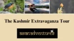 Kashmir Tours Packages |  Birdwatching In Kashmir India - slide 1