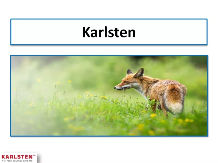 karlsten