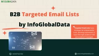 b2b targeted email lists by infoglobaldata