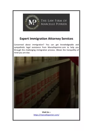 Expert Immigration Attorney Services