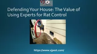 Keeping Your House Safe: The Value of Using Experts for Roach Extermination