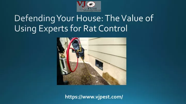 defending your house the value of using experts for rat control